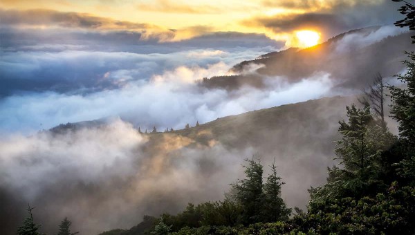 Keep Earth clean & green